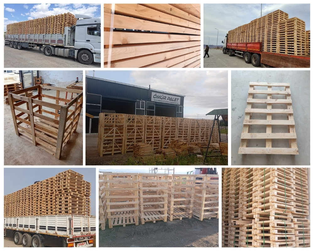 Chestfield Wooden Pallets, Buy Wooden Pallets Wholesale